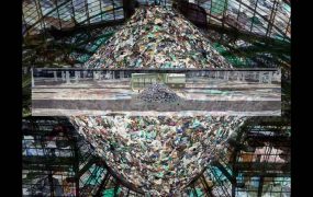 Bertrand Alberge - plasticien - photomontage - "Mercredi 27 janvier"