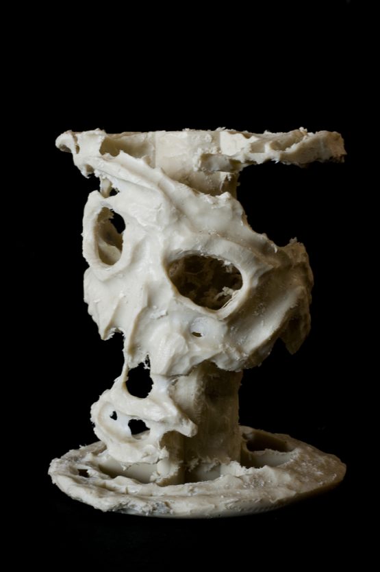 Bertrand Alberge - plasticien - sculpture - "Vanité"