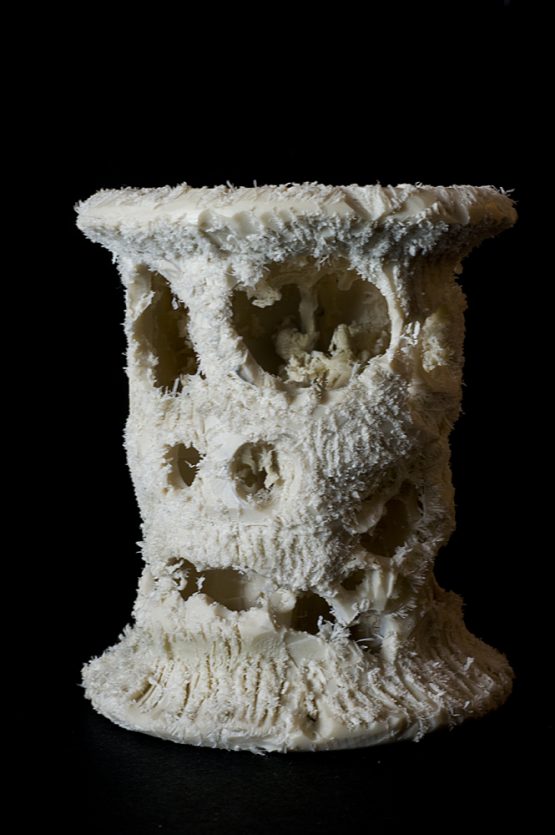 Bertrand Alberge - plasticien - sculpture - "Vanité"