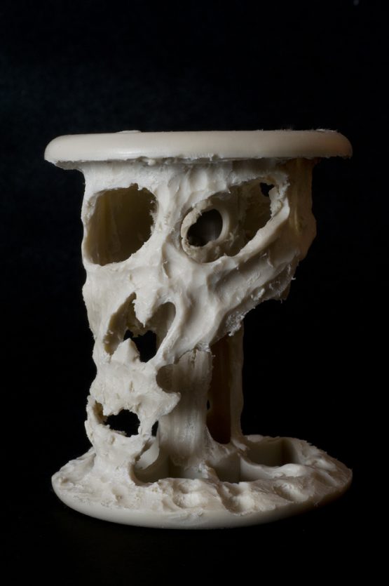 Bertrand Alberge - plasticien - sculpture - "Vanité"