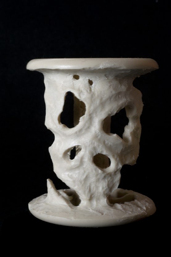 Bertrand Alberge - plasticien - sculpture - "Vanité"