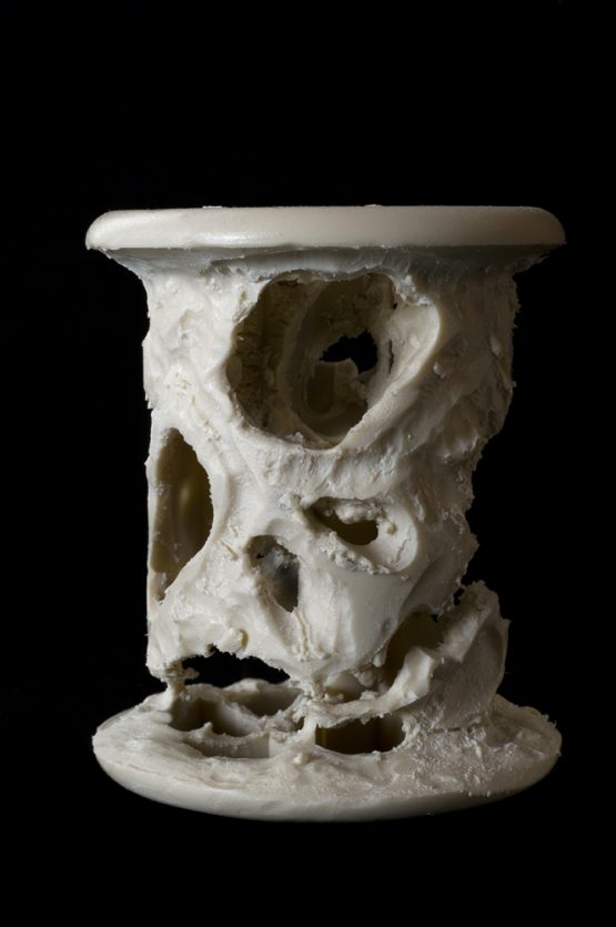 Bertrand Alberge - plasticien - sculpture - "Vanité"