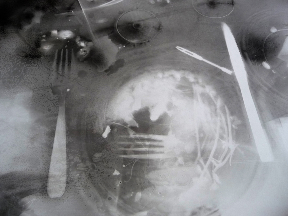 Bertrand Alberge - plasticien - photogramme - repas photogrammique - détails